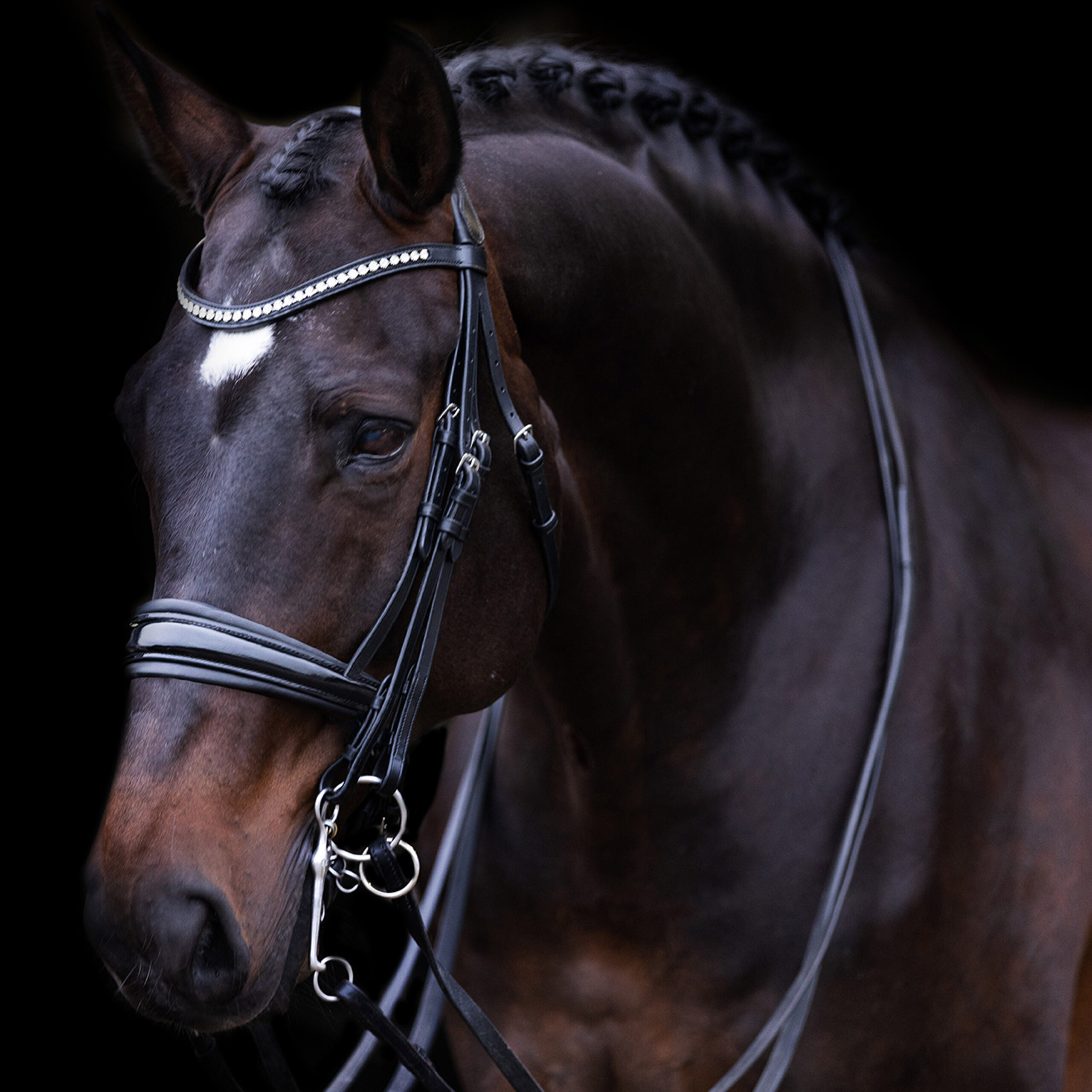 Imperial Riding Hoofdstel stang en trens Fria - Afbeelding 2