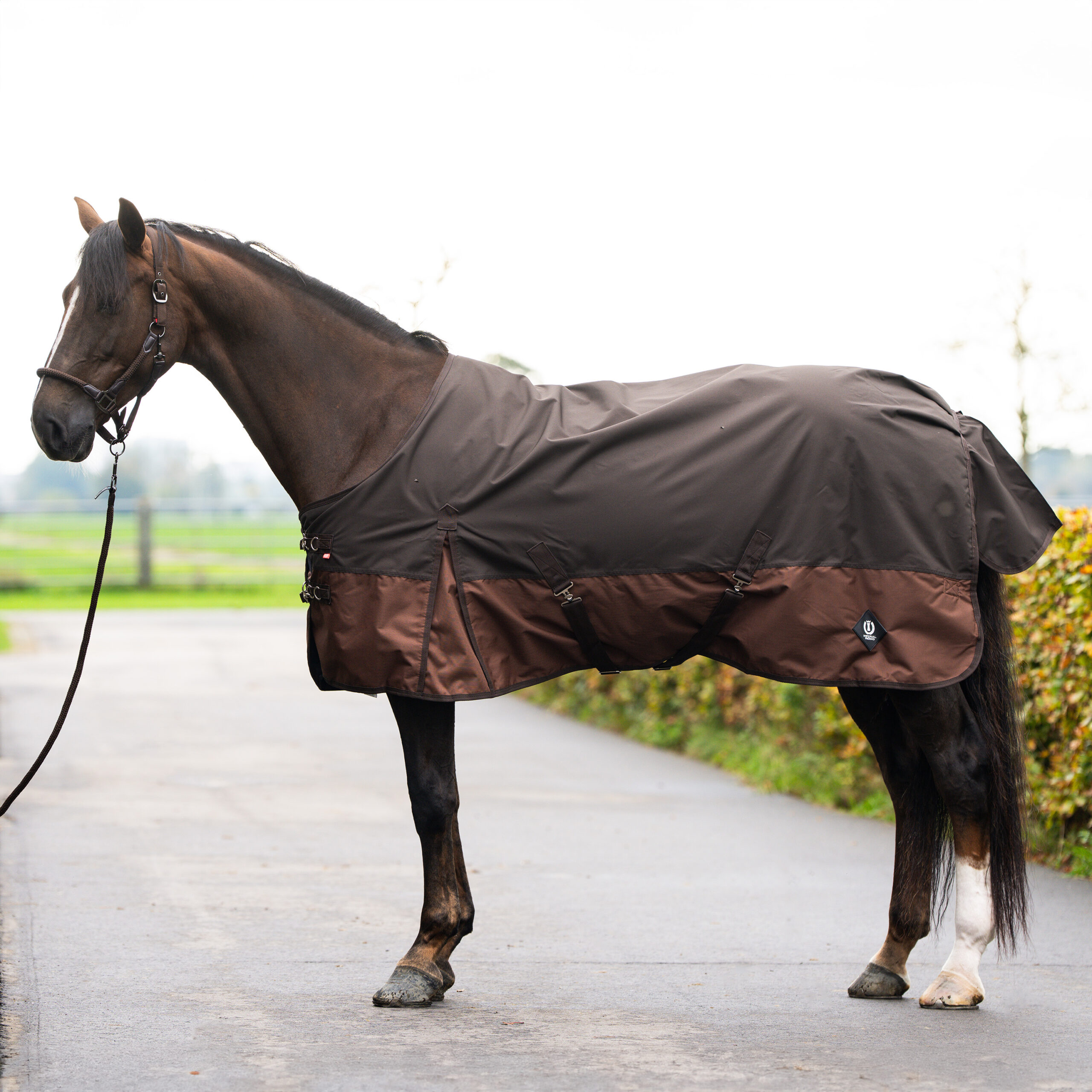 Imperial Riding Outdoordeken IRHCustomized zonder hals 400gr