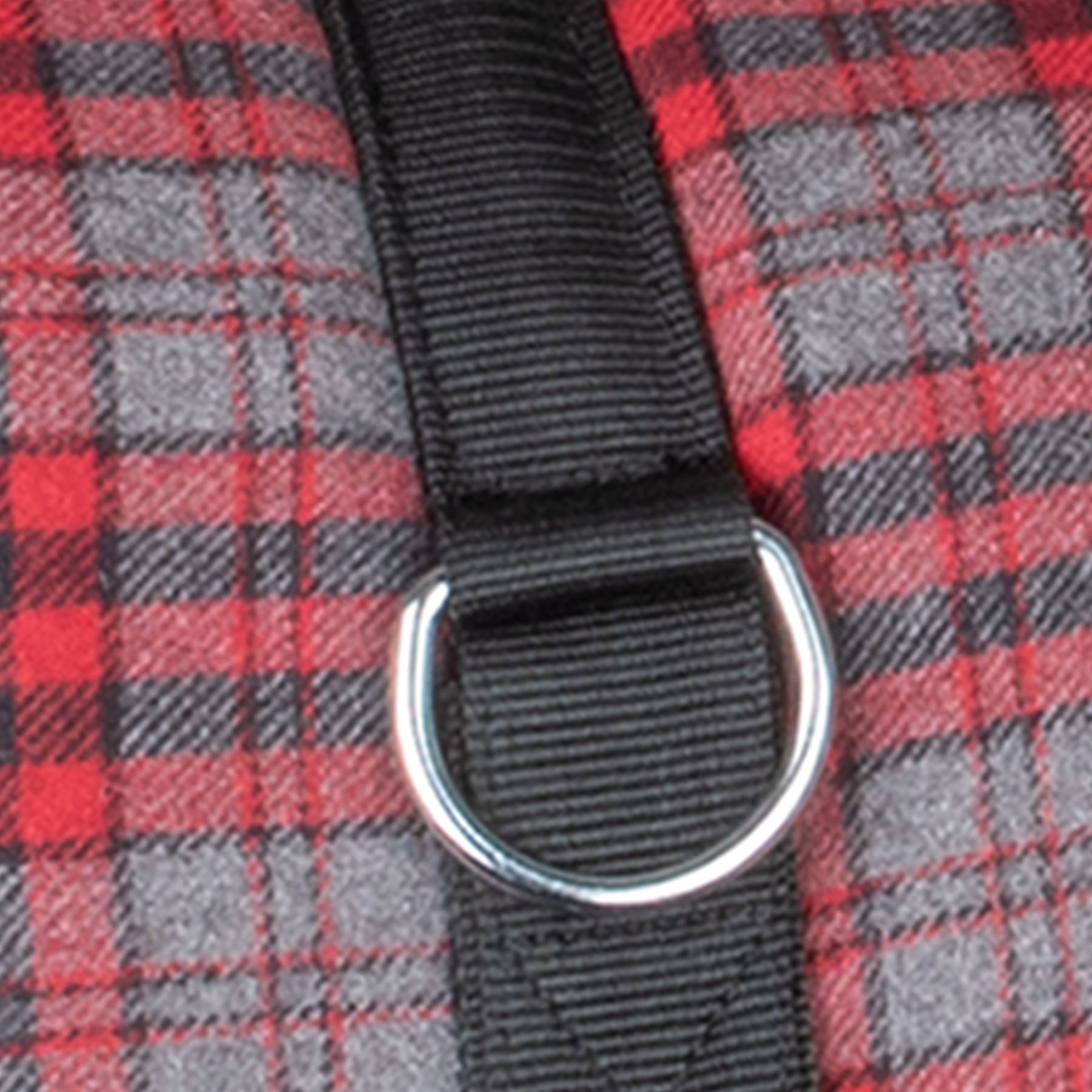 **Waldhausen Bare-Back Pad, grijs/rood ruitpatroon, Shetty** - Afbeelding 2