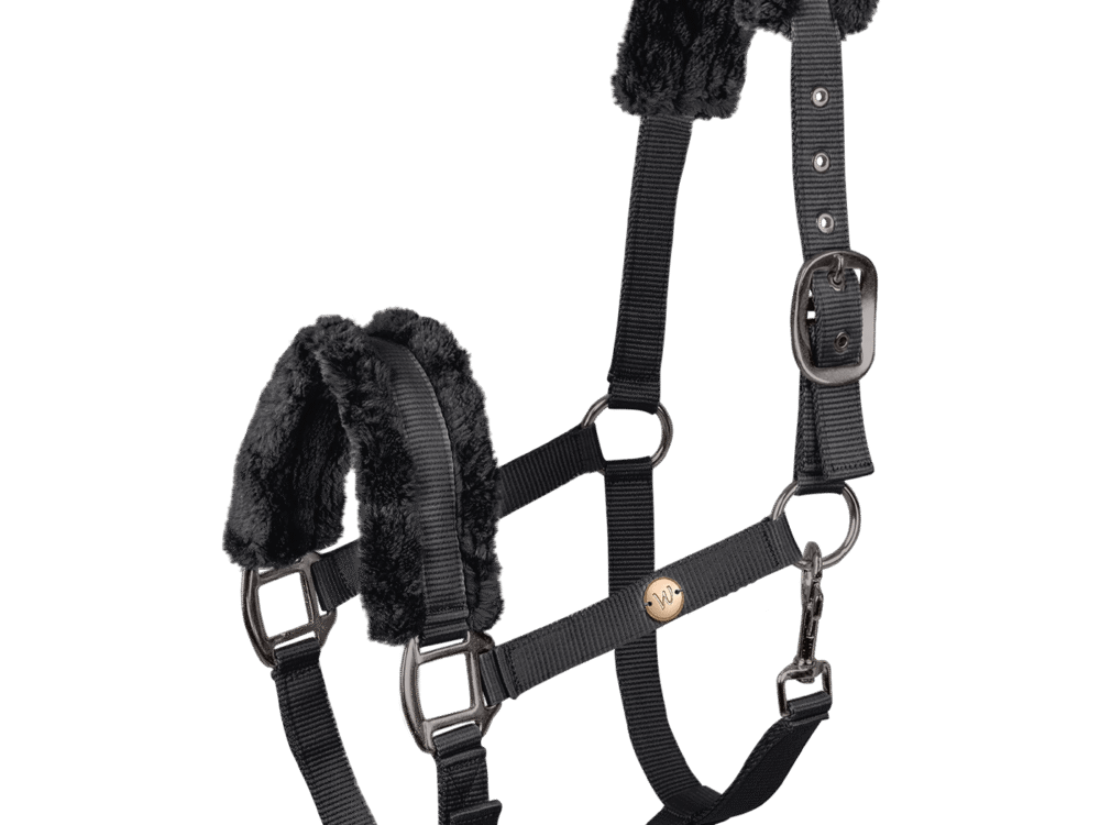 Waldhausen Halster Modern Rose/Black