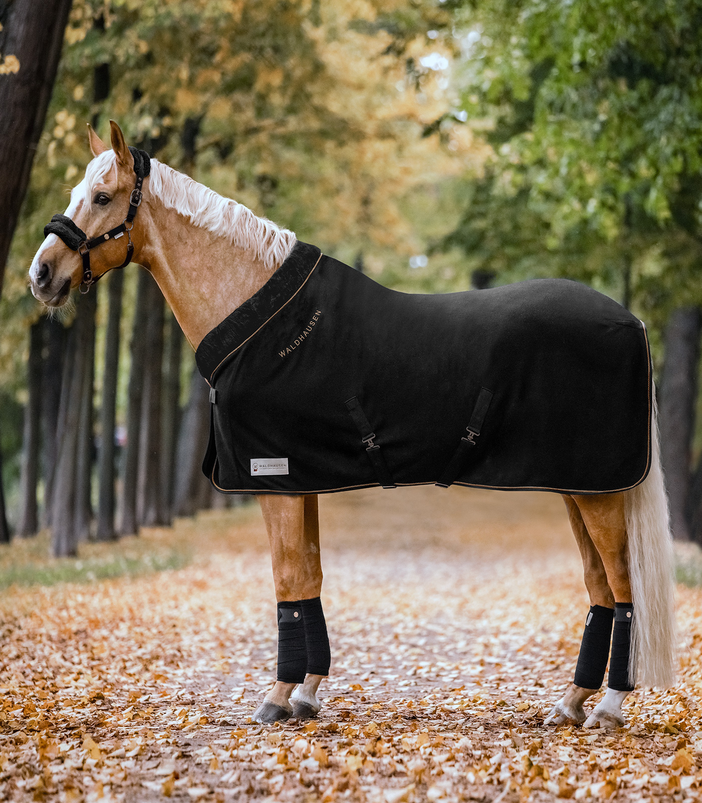 Waldhausen fleecedeken Modern Rosé zwart/goud, 125 cm