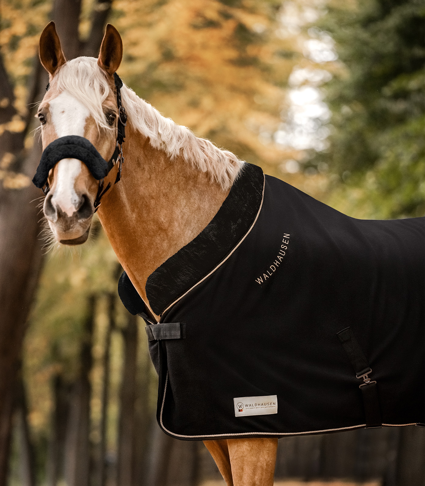 Waldhausen fleecedeken Modern Rosé zwart/goud, 125 cm - Afbeelding 2