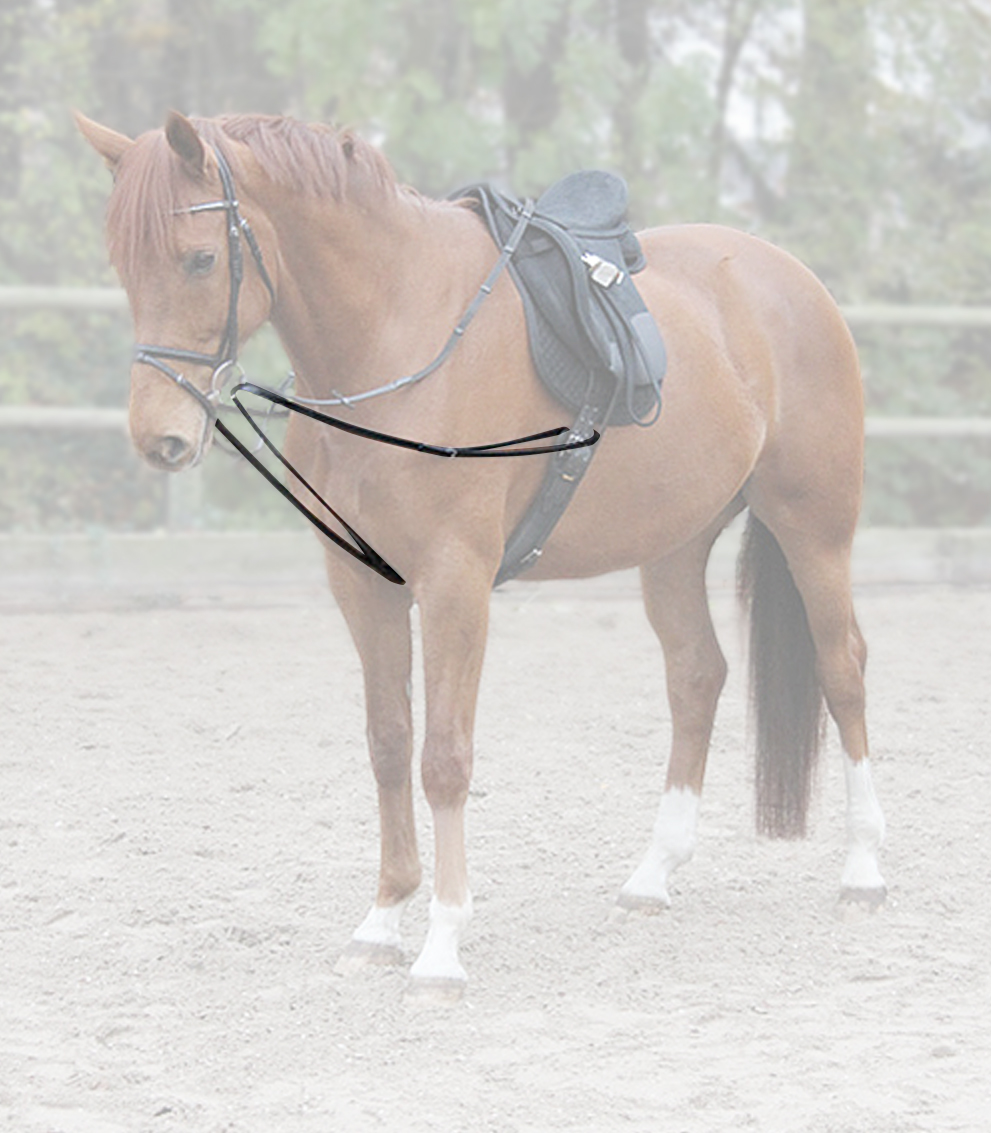 Waldhausen Lunge-Draw-Reins X-Line Leather, black, Pony - Afbeelding 2