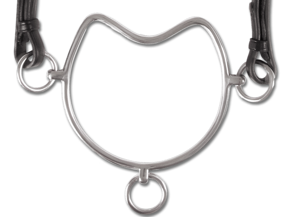 Waldhausen Chifney Bit SS, 12,5 cm