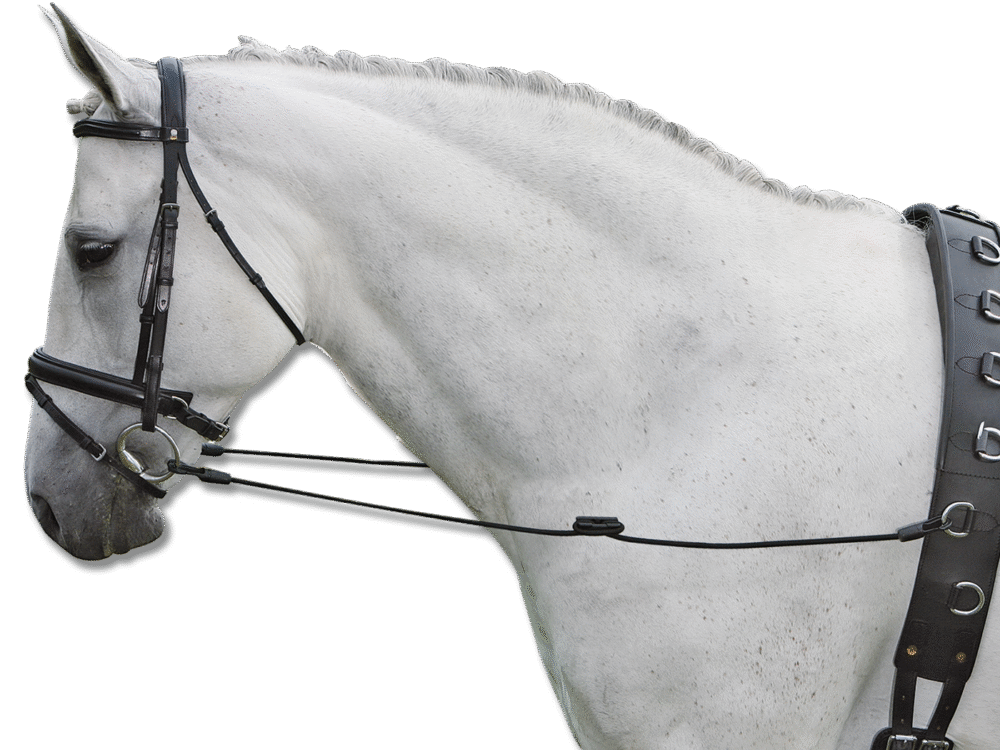 Waldhausen Side Reins Fully Elastic, black