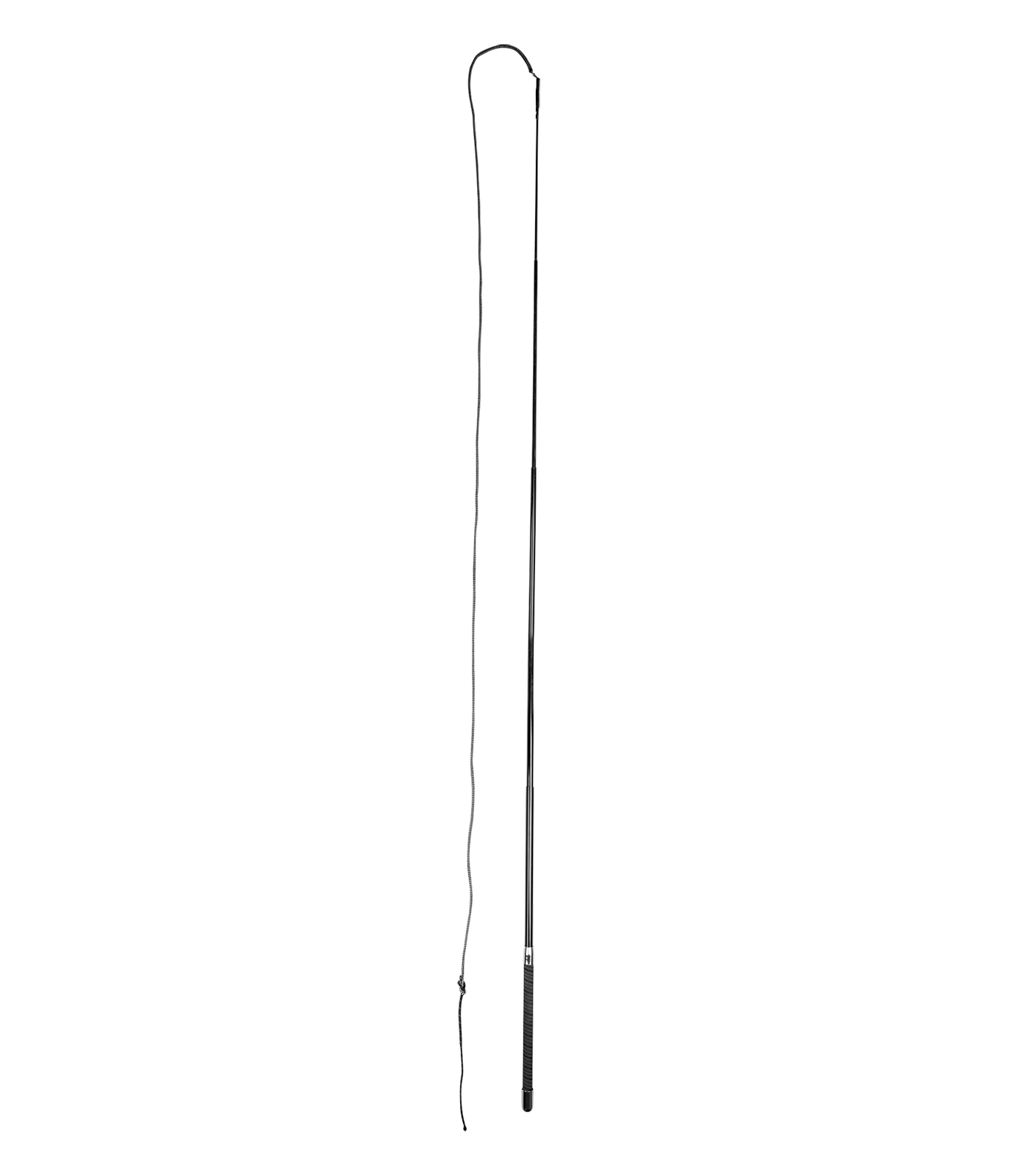 Waldhausen Lunge Whip SuperLight, 4-part, 180 cm