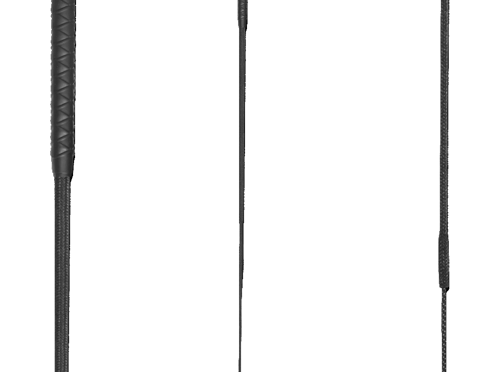 Waldhausen Riding Whip Basic, black, 90 cm