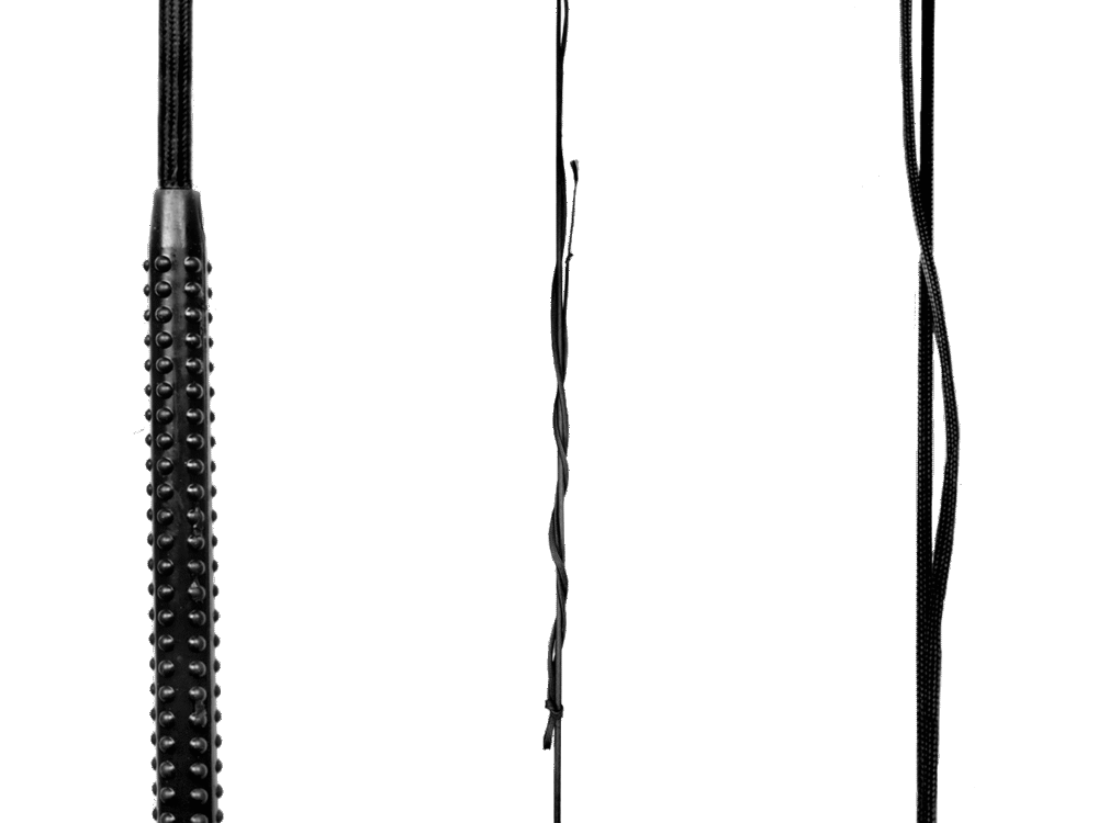 Waldhausen Lunge Whip 1-piece, black, 180 cm