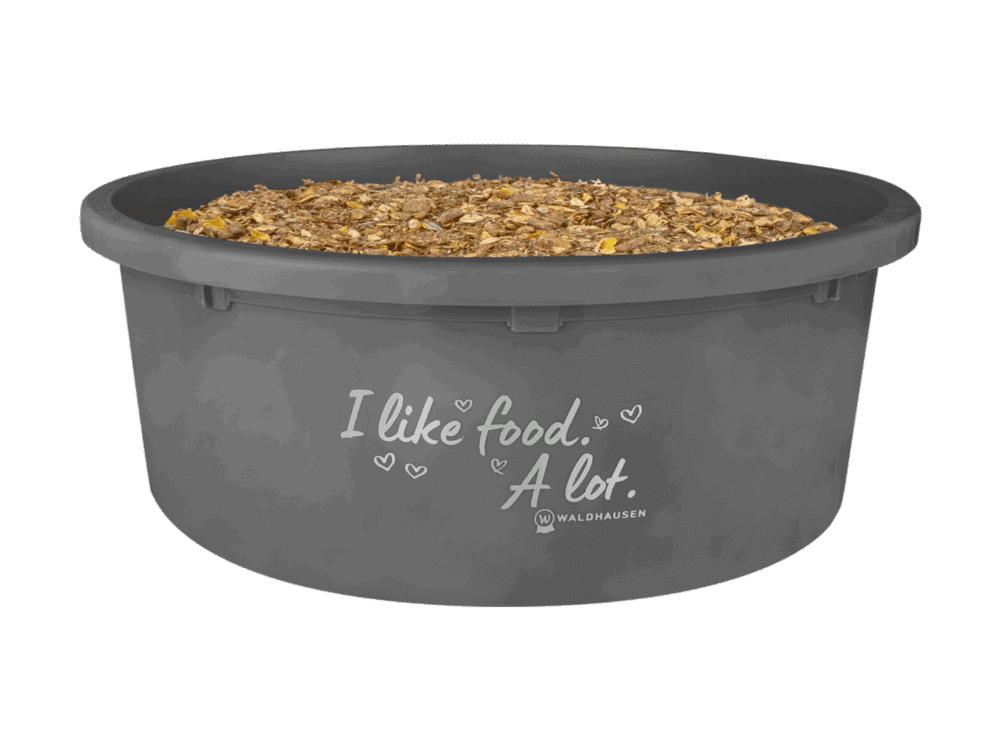 XL Feeding Bowl "I like food. A lot." with lid, grey, 8 l