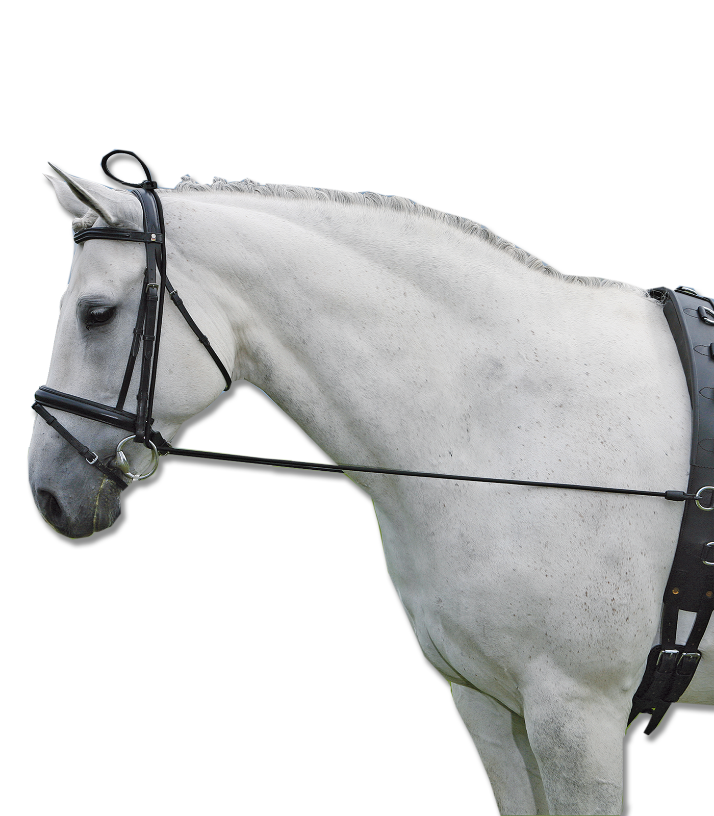 Waldhausen Neckstretcher Elastic, black, Pony