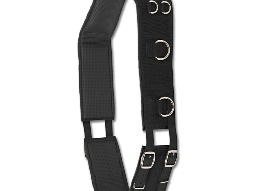 Waldhausen Lunging Girth, 11 rings, black, Pony
