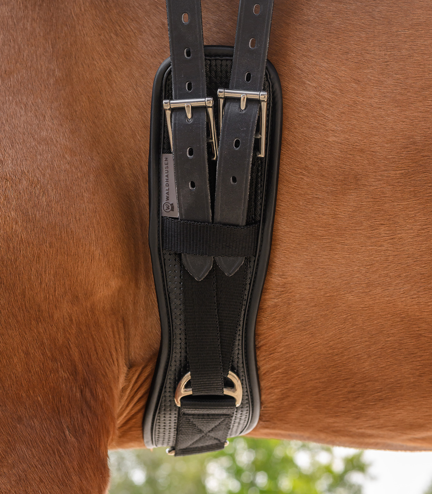 Waldhausen Shortgirth Basic, black, 40cm - Afbeelding 2