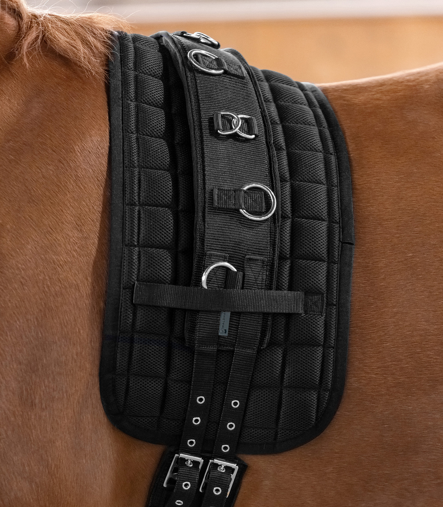 Waldhausen Longeeersingel SuperSoft Zwart Pony - Afbeelding 2
