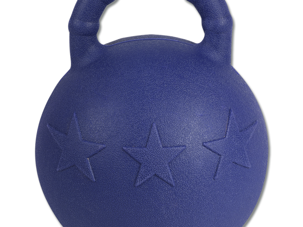 Waldhausen Fun Ball, blauw, met muntsmaak, 25 cm.