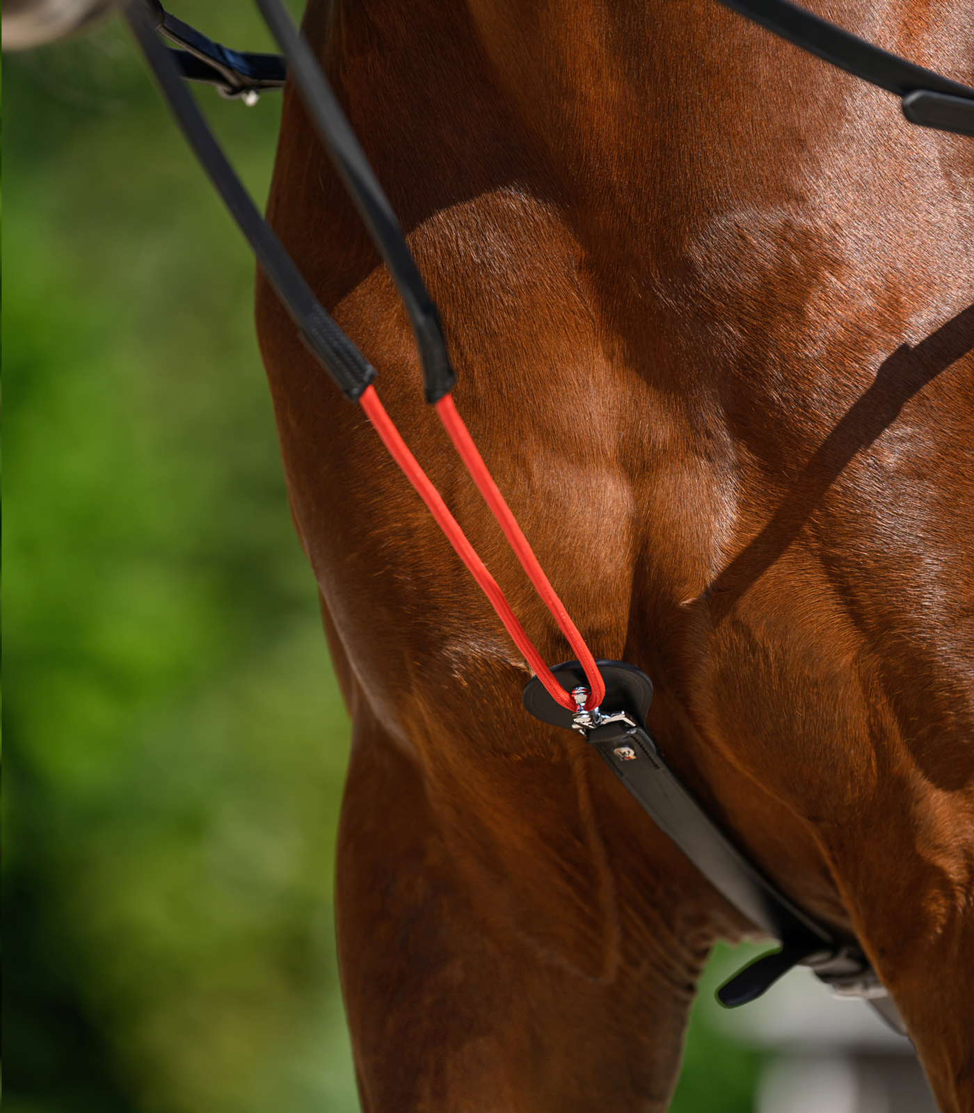 Waldhausen Draw W Trainreins pony - Afbeelding 2