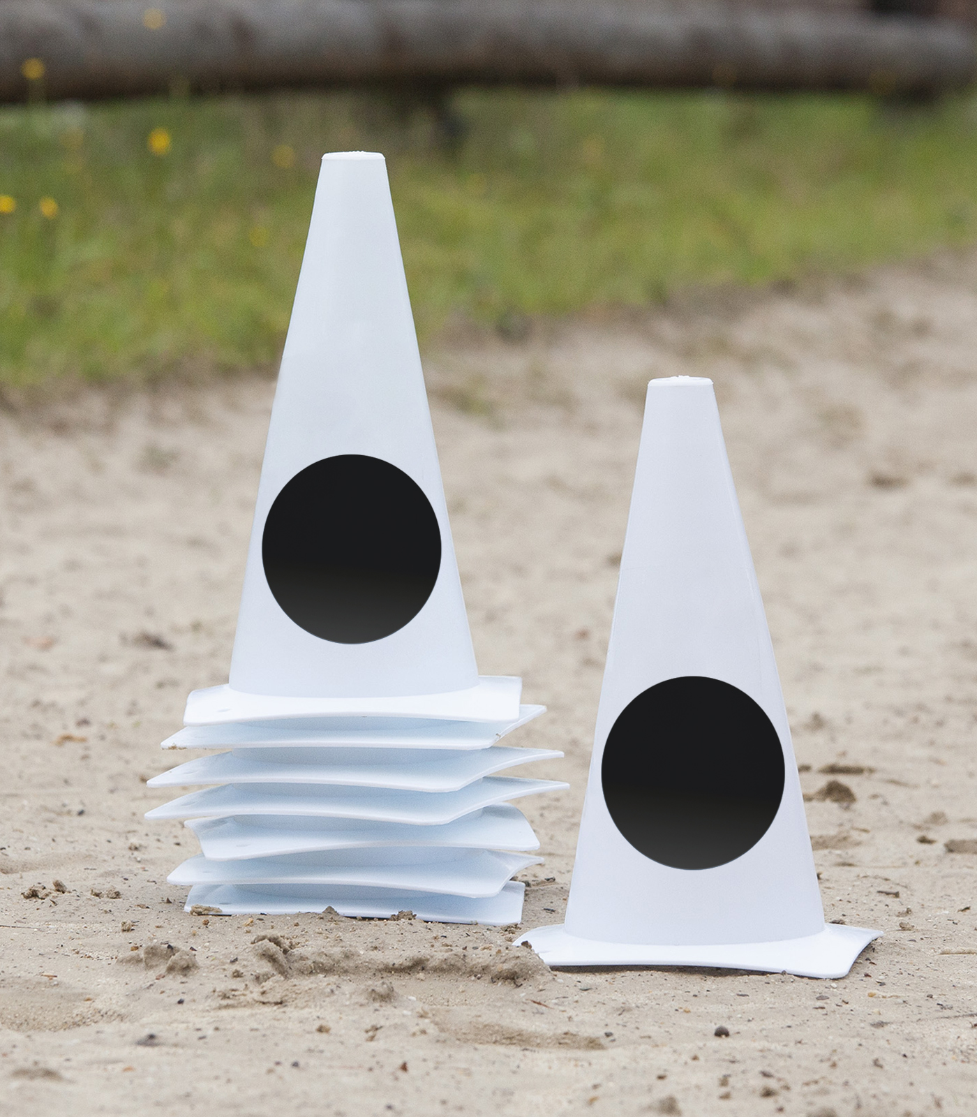 Waldhausen Dressage Markers, Circle Points