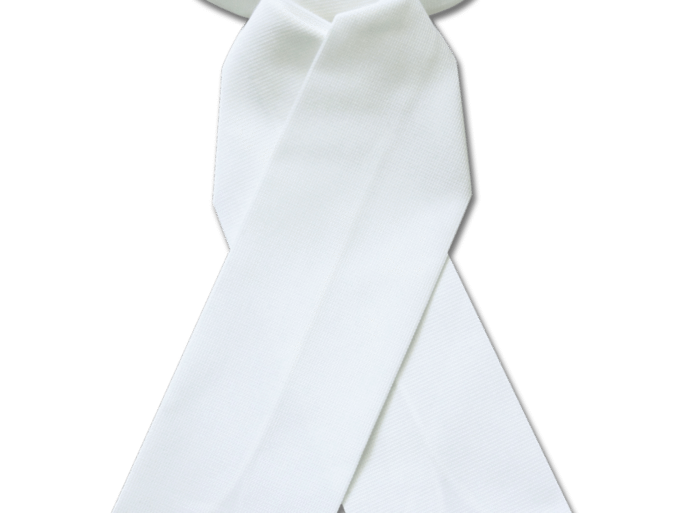 Waldhausen Plastron, white, Kids