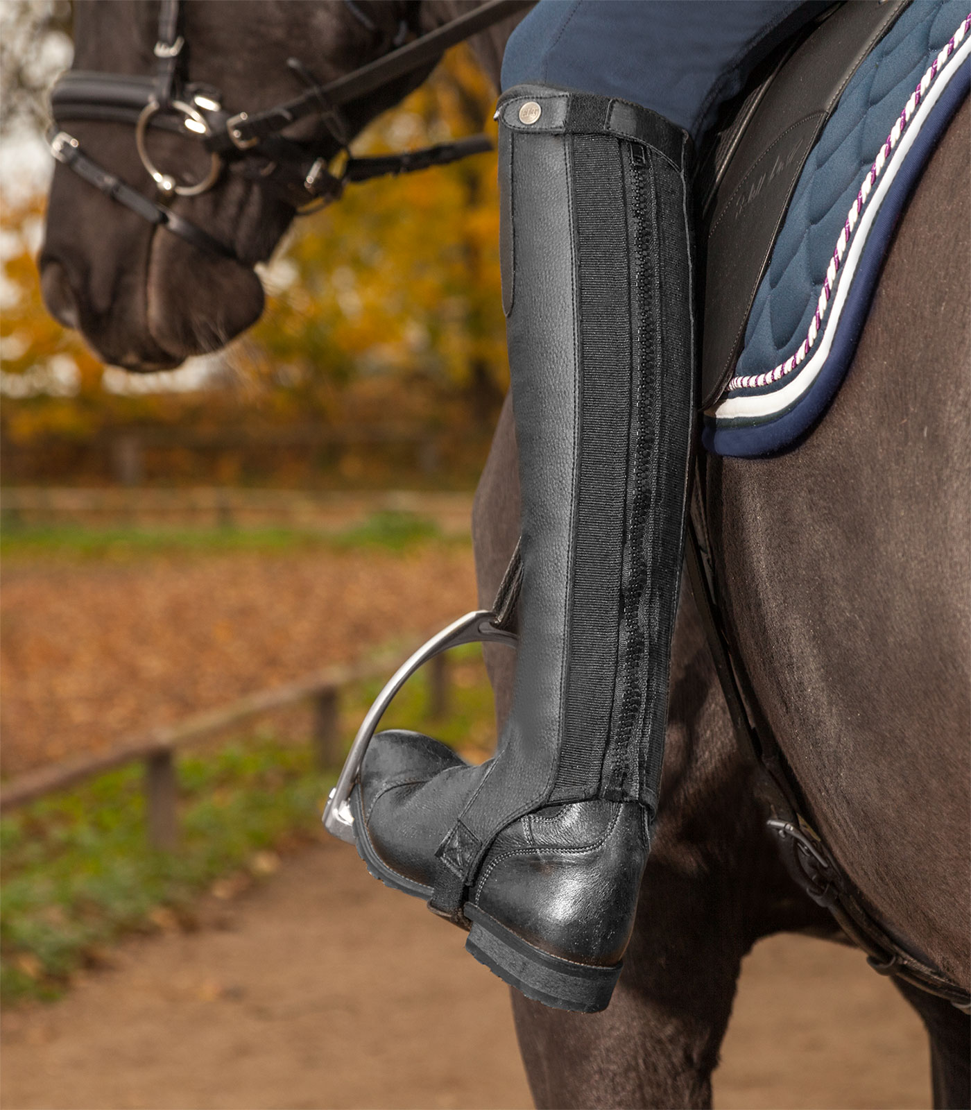 Waldhausen Mini Chaps Exclusive, black, L - Afbeelding 4