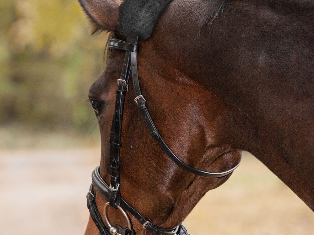 Waldhausen Real Lambskin-Noseband Sleeve, 27 cm, black