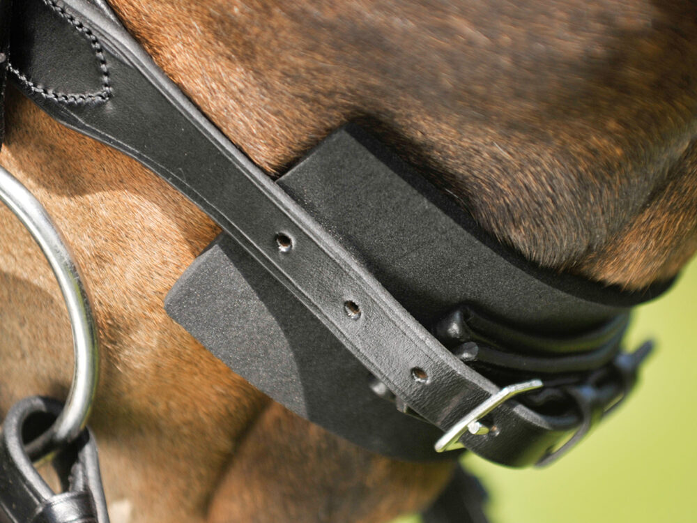Waldhausen Bridle pad, black, 20 pcs. incl. display