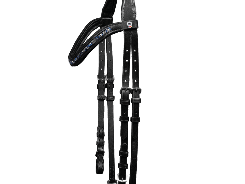 Waldhausen Icelandic bridle ice, blue/silver