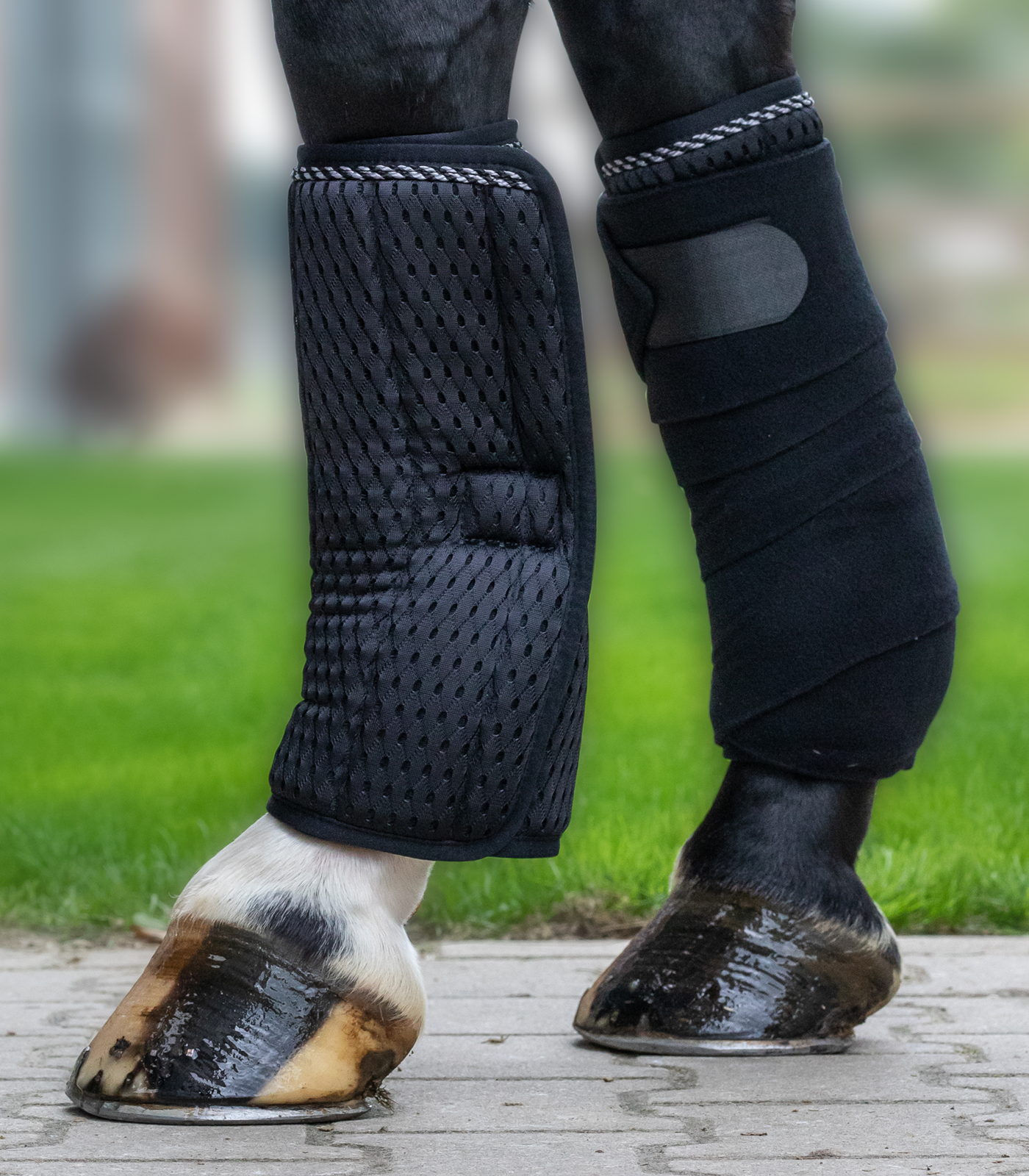 **Waldhausen Bandageonderlegger Brath met klittenband, 33 x 38 cm, 2 stuks, zwart**