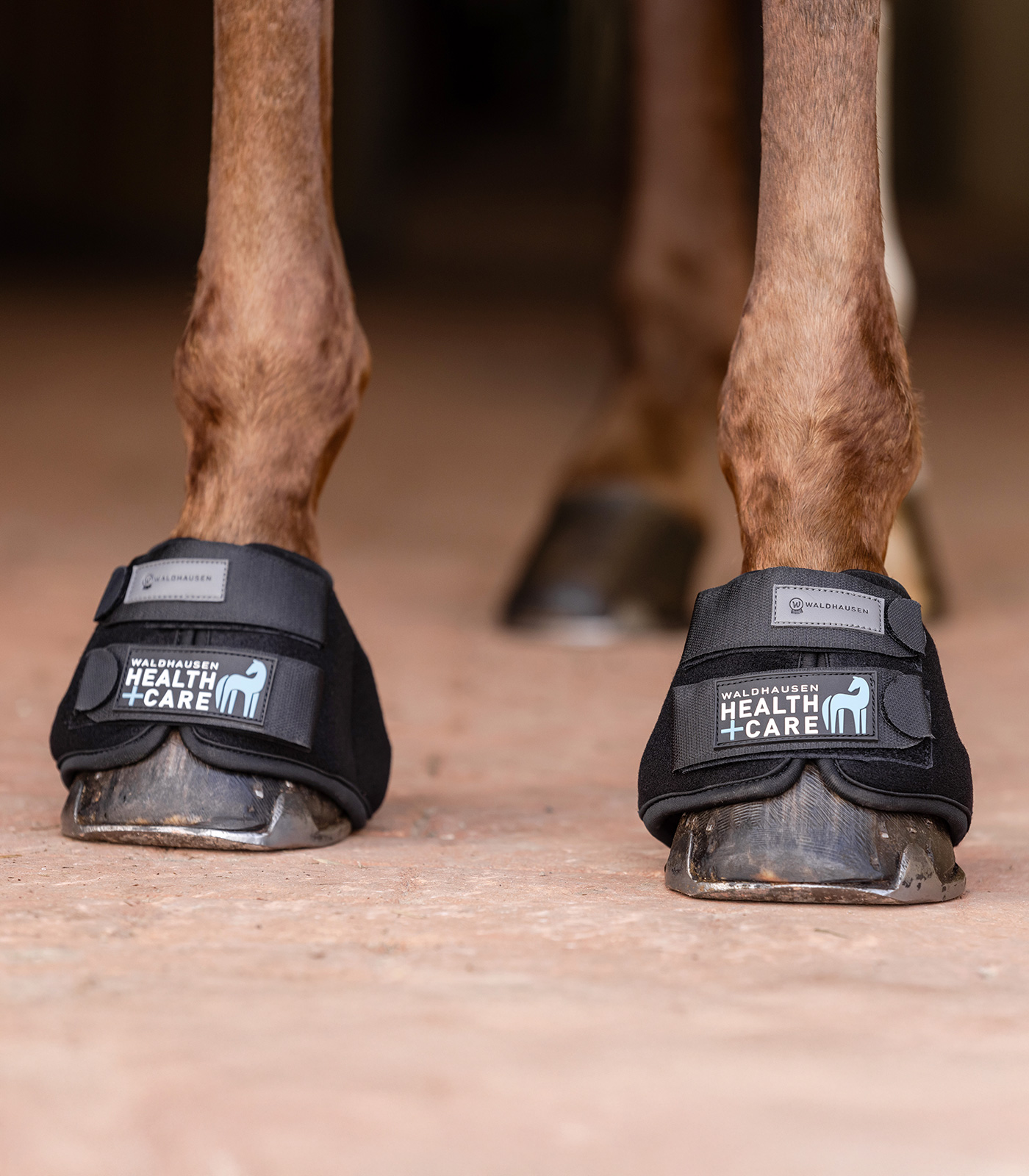 Waldhausen Cooling Springschoenen Zwart L