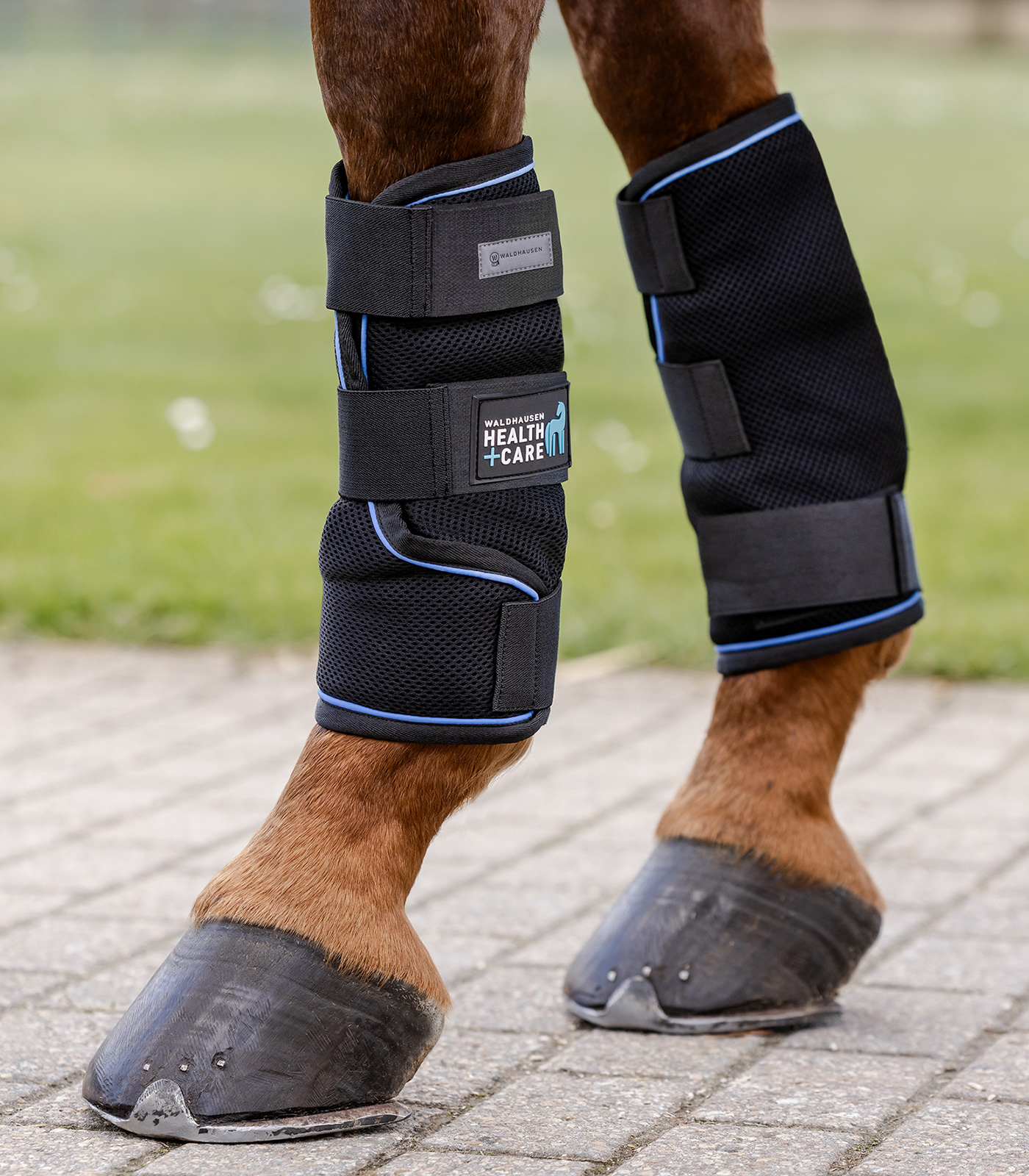 Waldhausen Health + Care Ice Layer Boot, maat large