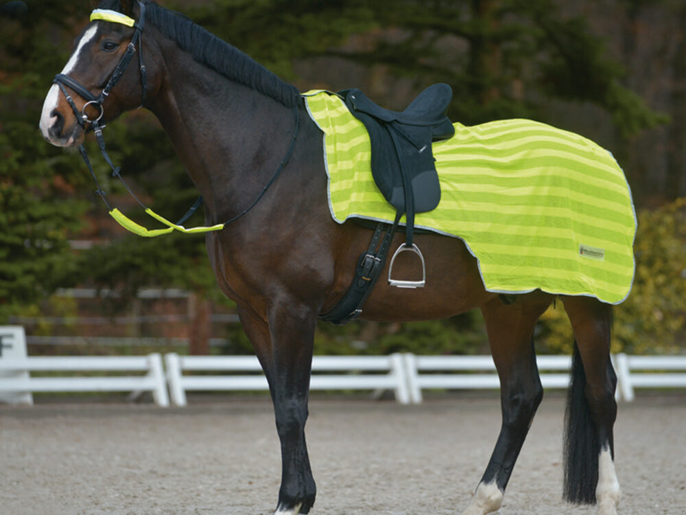 Waldhausen Reflex rug with lightstripes, neon