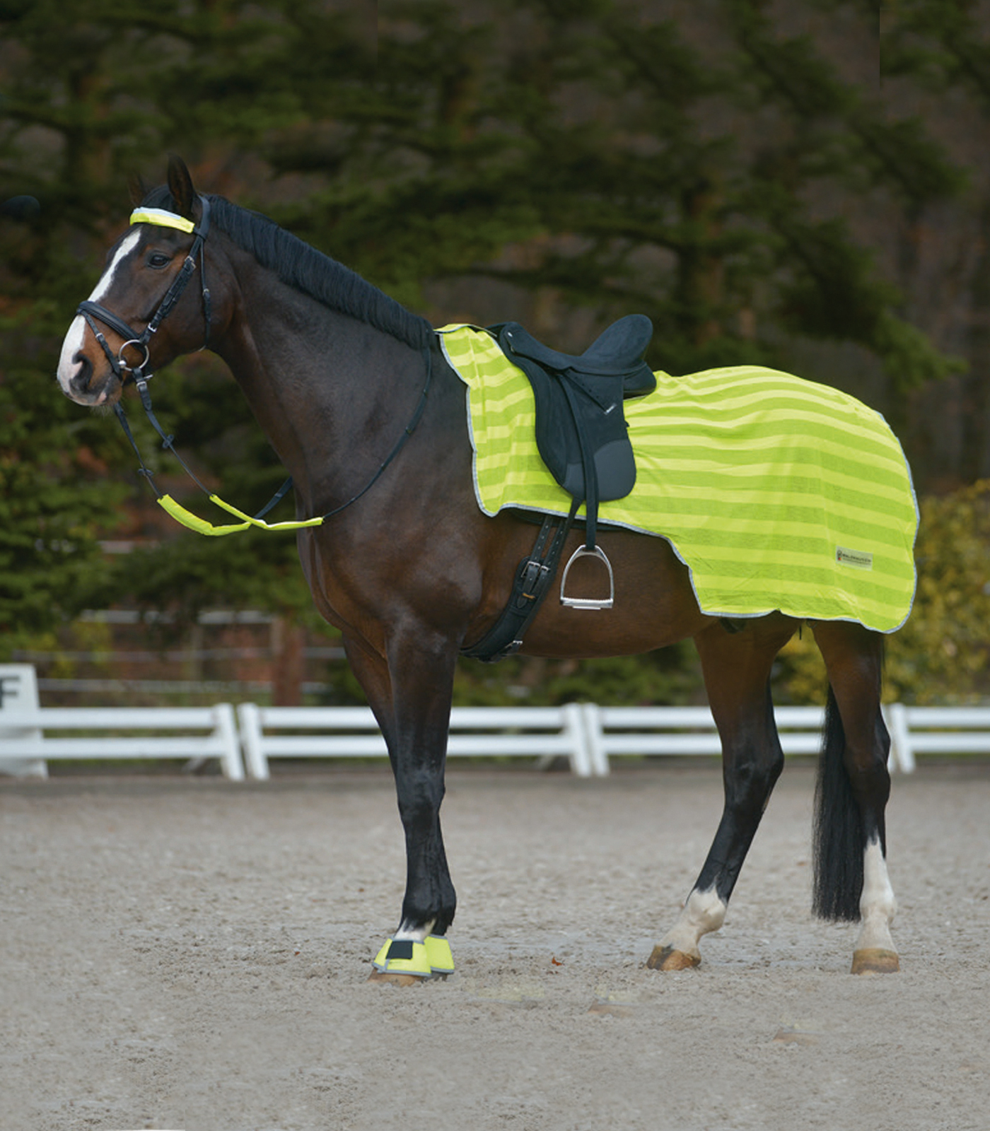 Waldhausen Reflex rug with lightstripes, neon