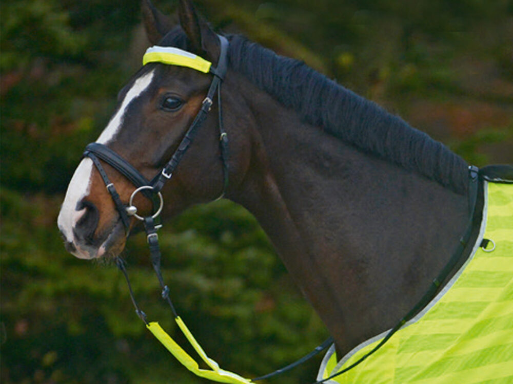 Waldhausen Reflex Straps for bridle Set=3 pcs., neon