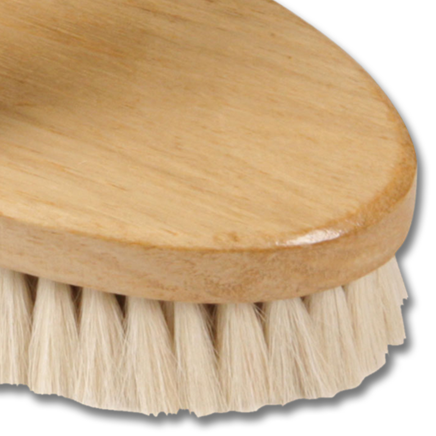 Waldhausen Body Brush, small - Afbeelding 3
