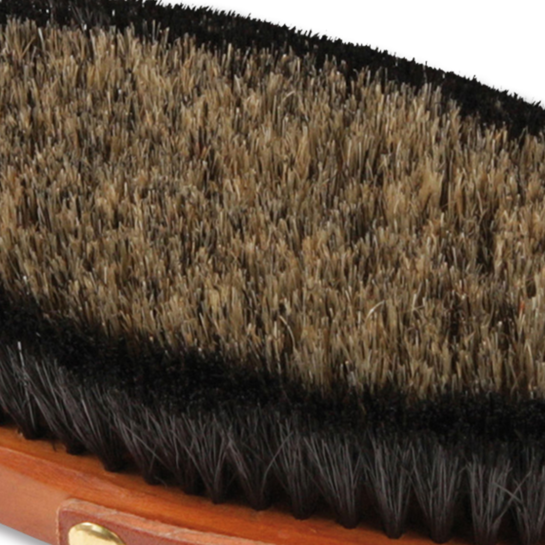 Waldhausen HW lichaamsborstel 18,5 cm, borstelharen 3 cm - Afbeelding 6