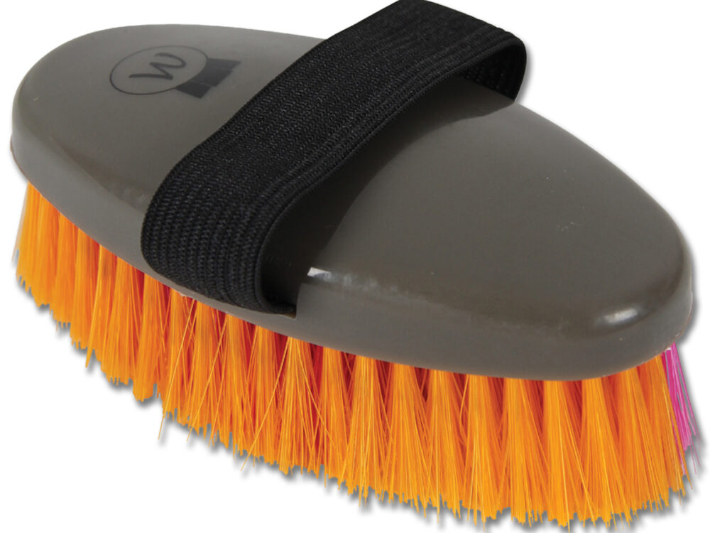 Waldhausen NEON brush-set, 12pcs., included POS-display