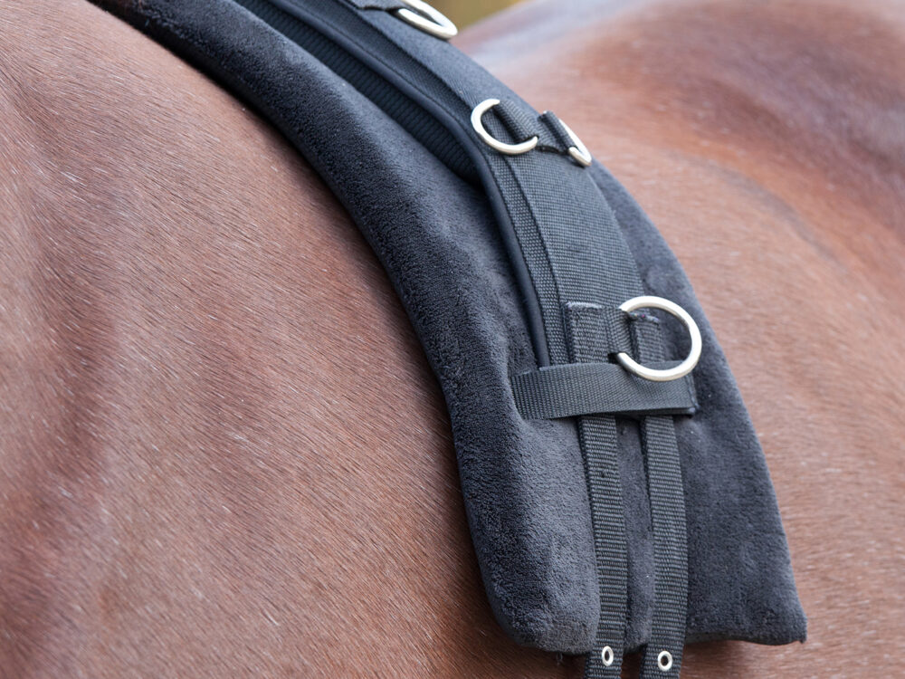 Waldhausen Pad for Longinggirth, memory foam, black, Pony