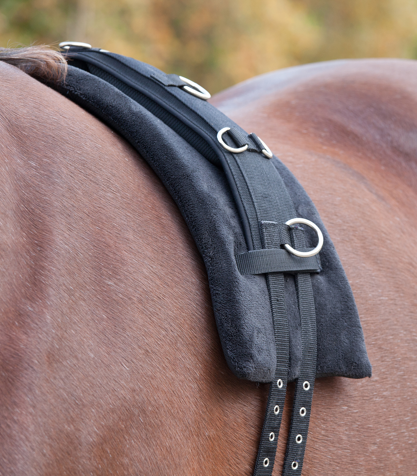 Waldhausen Pad for Longinggirth, memory foam, black, Pony