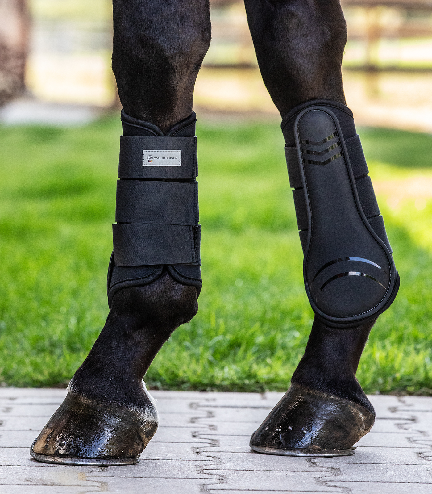 Waldhausen Beenbeschermers Basic Plus Zwart - Afbeelding 2