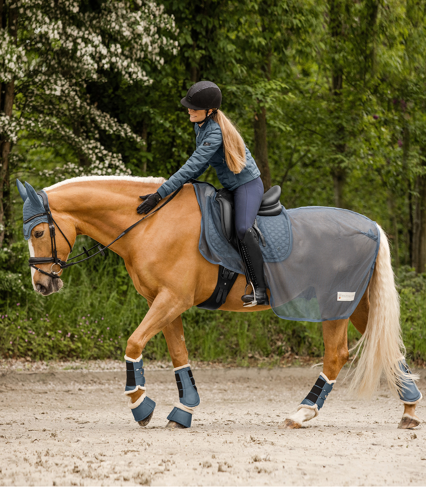 Waldhausen Dressage Boots Pegasus, chalkblue, XL - Afbeelding 5