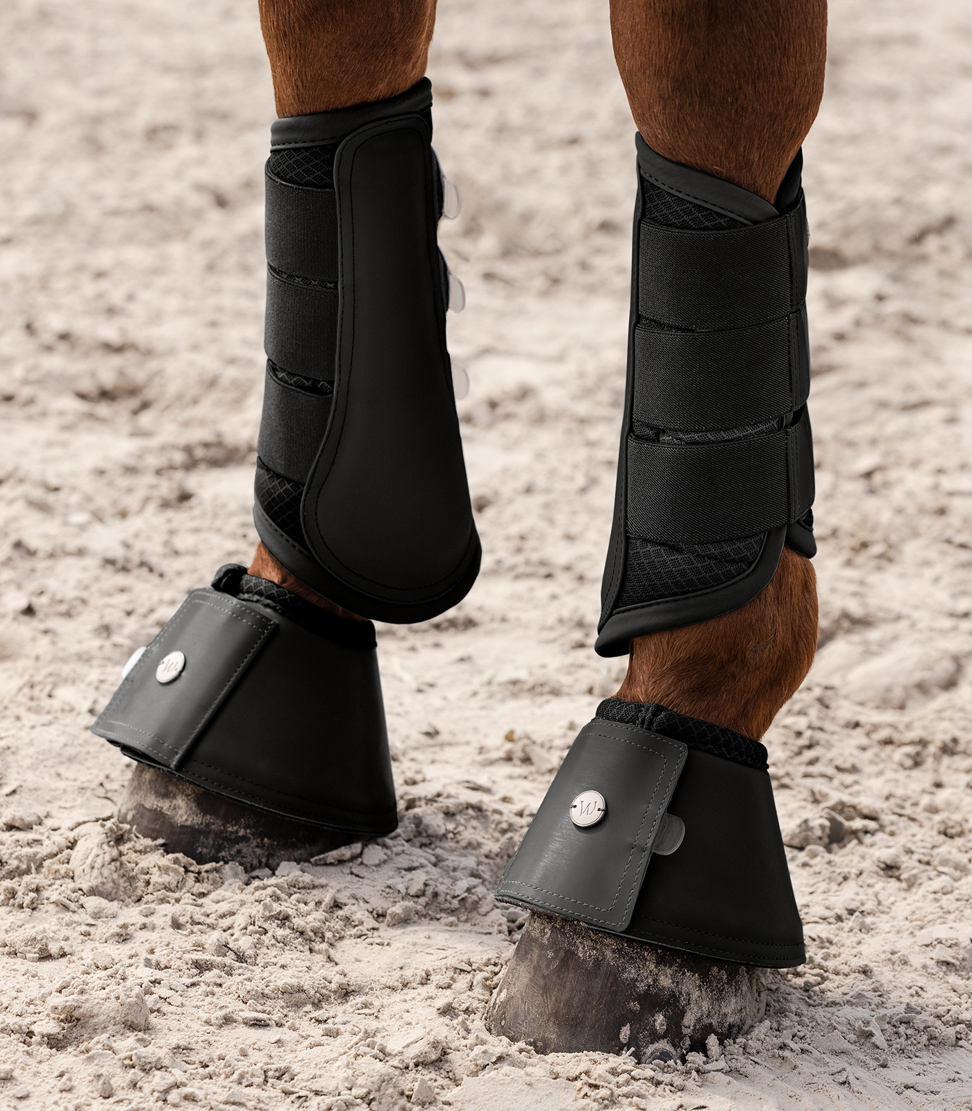 Waldhausen Dressuur Beenbeschermers Rimini, black, XL - Afbeelding 3