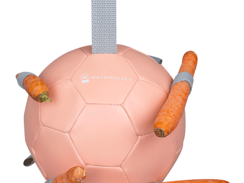 Waldhausen Carrotball linnea pink