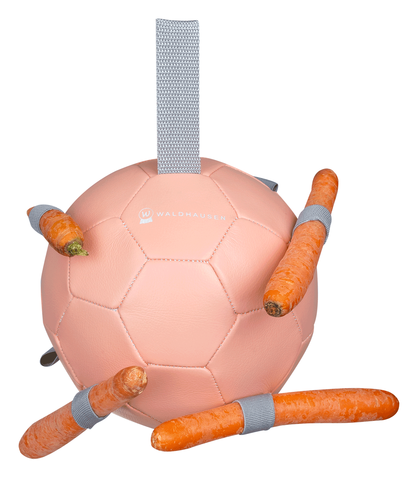Waldhausen Carrotball linnea pink
