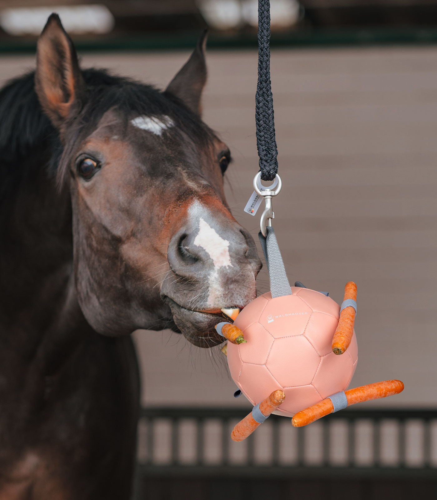 Waldhausen Carrotball linnea pink - Afbeelding 2