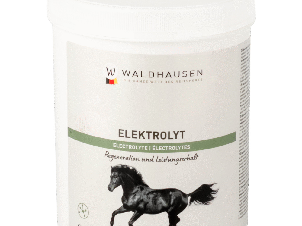 Waldhausen Electrolyt, Powder, 1 kg