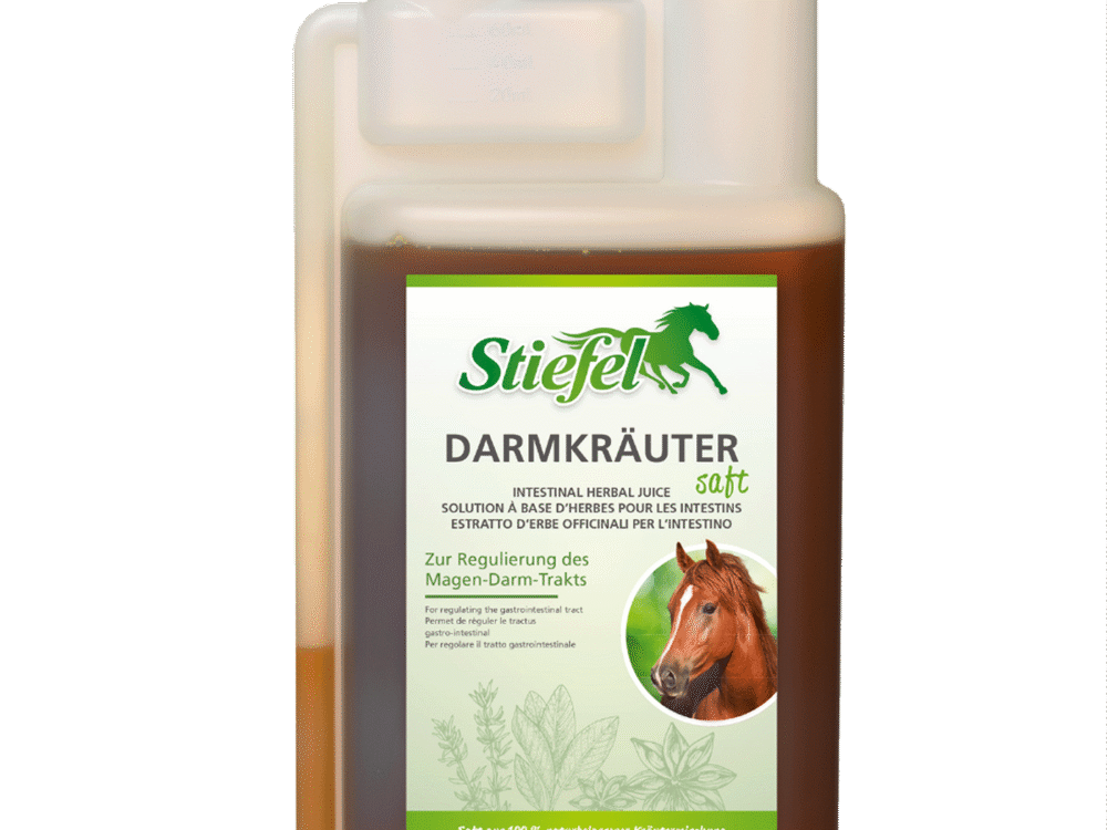 Stiefel Darmkruidensap 1l