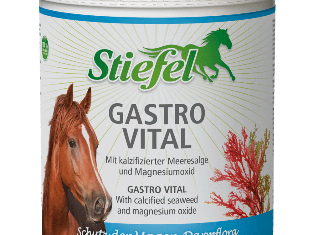 Stiefel Gastro Vital 1kg
