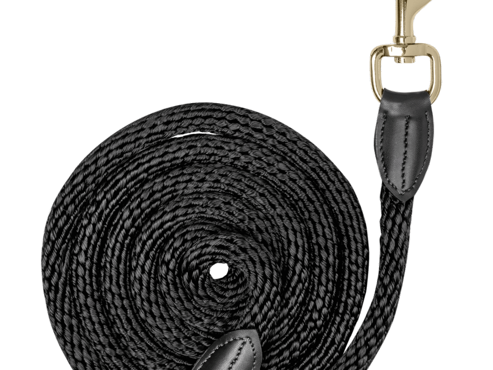 Waldhausen Leadrope Exclusive, karabijnhaak, zwart