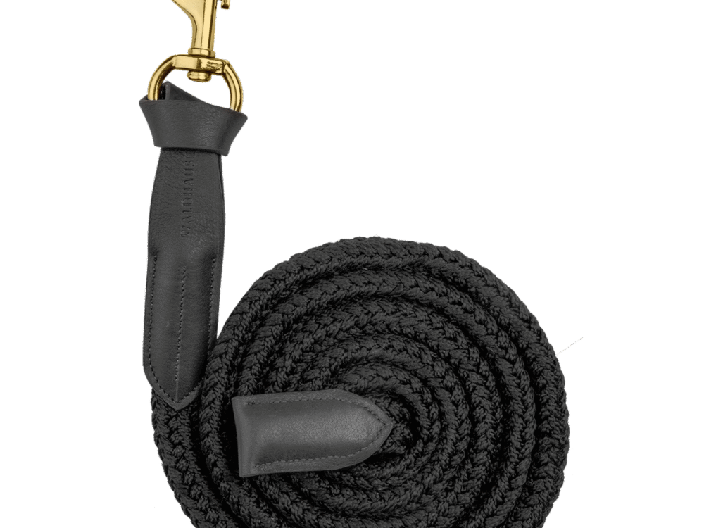 Waldhausen Leadrope Royal met lederen details, karabijnhaak, zwart