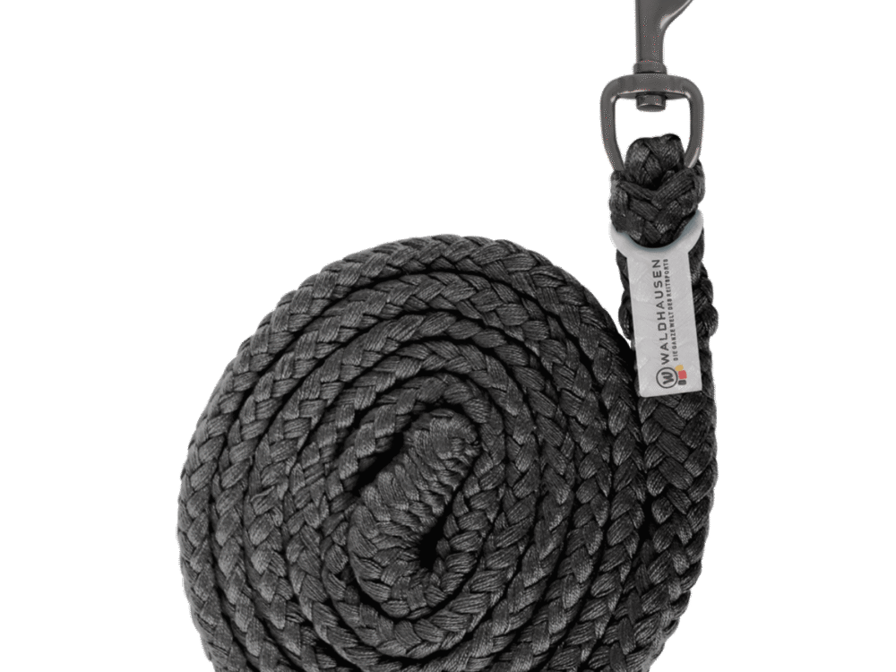 Waldhausen Lead Rope Plus, karabijnhaak, zwart, donkere beslag