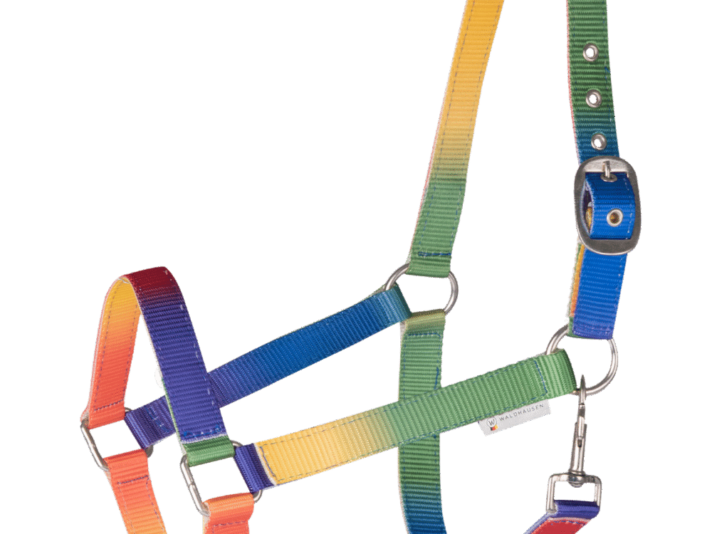 Waldhausen Halster Regenboog, neon meerkleurig, Cob