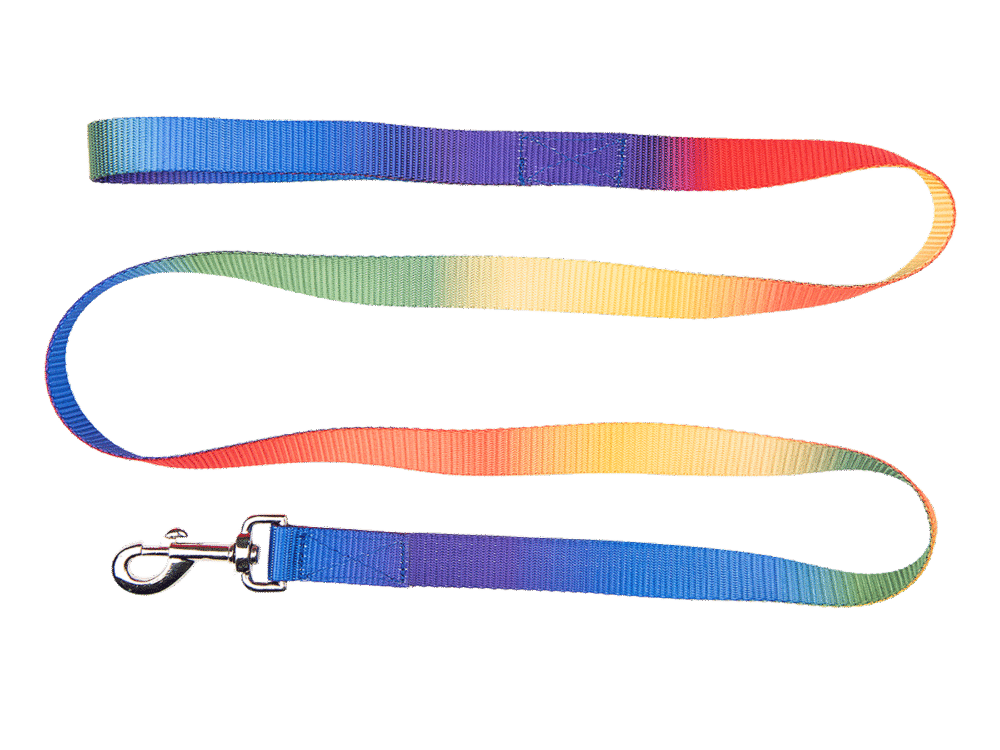 Waldhausen lead rope Rainbow, neon multicolor,